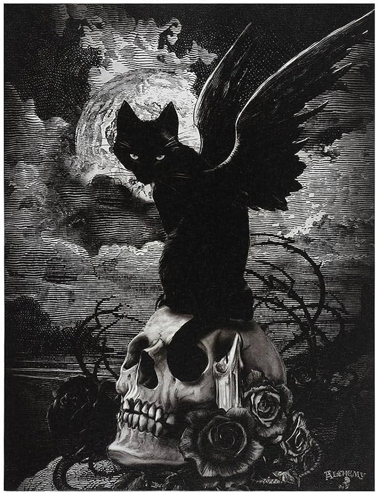 Midnight Messenger Canvas Plaque